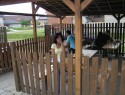 P6142890.JPG